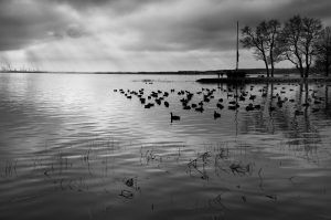 Battery Park winter view-2007-BW
