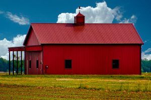 Barn just outside of Bombay Hook National Wildlife Refuge