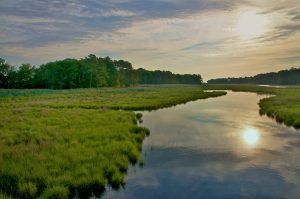Junction and Breakwater Trail, DE 3