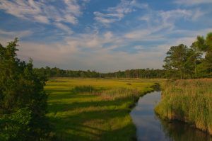 Junction and Breakwater Trail, DE 2
