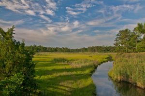 Junction and Breakwater Trail, DE