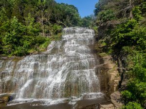 Hector Falls 2017
