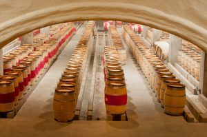 Barrels at winery