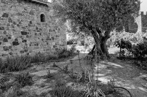 Castello di Amorosa winery