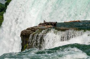 Closeup of Horseshoe Falls