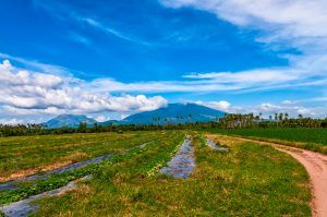 Mt. Banahaw view