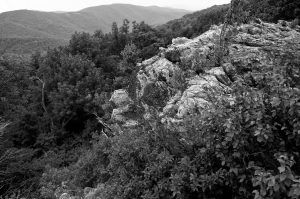 Rocks in Shenandoah