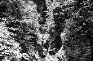 Watkins Glen View Black and White