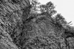 "Looking Up"