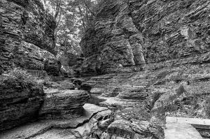 Creek View Watkins Glen Black and White