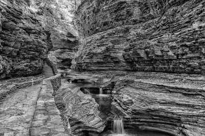 Watkins Glen View Black and White