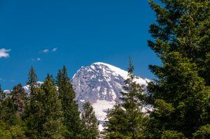 Mt. Rainier National Park View-01
