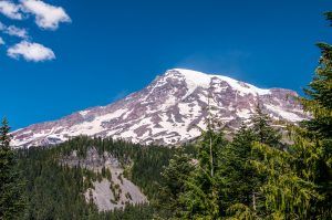Mt. Rainier National Park View-02