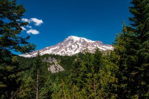 Mt. Rainier National Park View-03