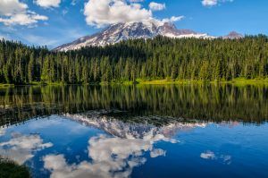 Reflection Lake, Mt. Rainier National Park