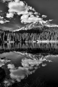Reflection Lake, Mt. Rainier National Park BW View 03
