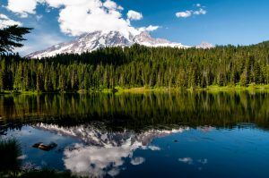 Reflection Lake, Mt. Rainier National Park View 04