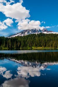 Reflection Lake, Mt. Rainier National Park View 05