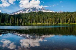 Reflection Lake, Mt. Rainier National Park View 06