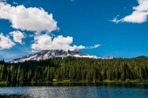 Reflection Lake, Mt. Rainier National Park View 07