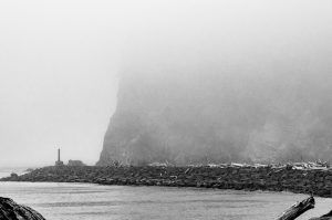 La Push Beach foggy view BW