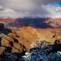 Grand Canyon View-01
