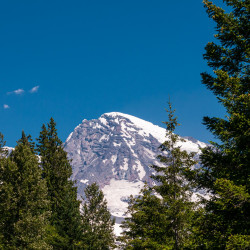 Mt. Rainier National Park View-01 Mt. Rainier National Park View-01