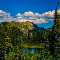 View in Mt. Rainier National Park View in Mt. Rainier National Park