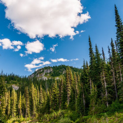 View in Mt. Rainier National Park 02 View in Mt. Rainier National Park 02