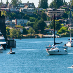 Ballard Locks View, Seattle WA (Hiram M. Chittenden Locks) Ballard Locks View 07